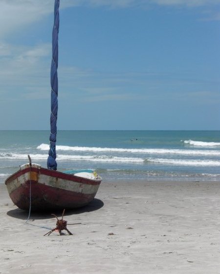 The beautiful beaches in Jericoacoara , Brazil