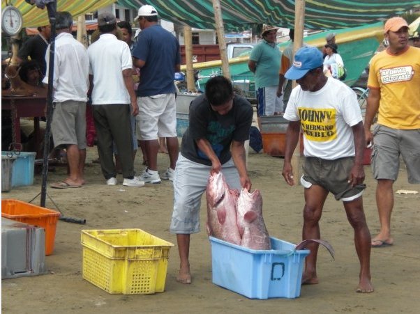 Fish market in Puerto Lopez, Ecuador