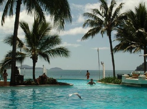 The Hamilton Beach Resort Pool, Whitsunday Island Australia