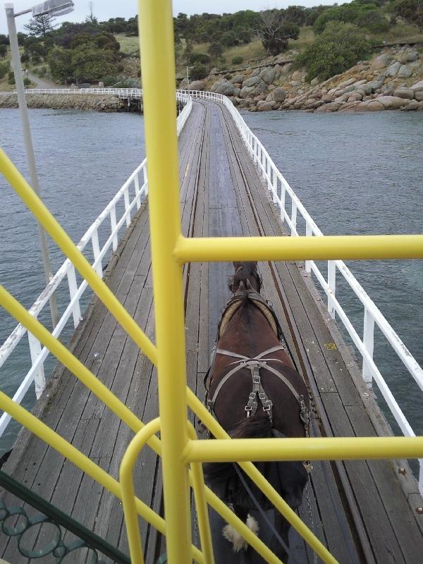 On the horse tram to Granite Island, Australia