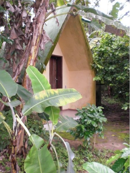 Sleeping in the jungle, Brazil