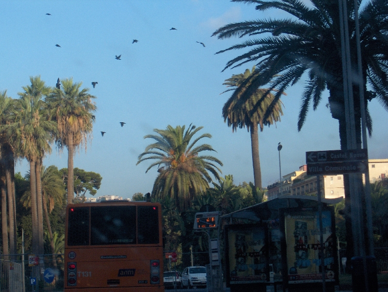 Bus in the centre of Naples, Italy