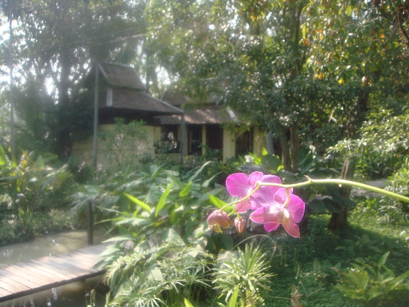 The flower garden of the Pharndevi, Thailand