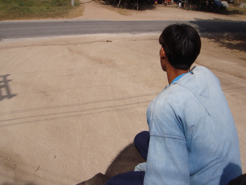 Elephant rider in Kanchanaburi, Kanchanaburi Thailand