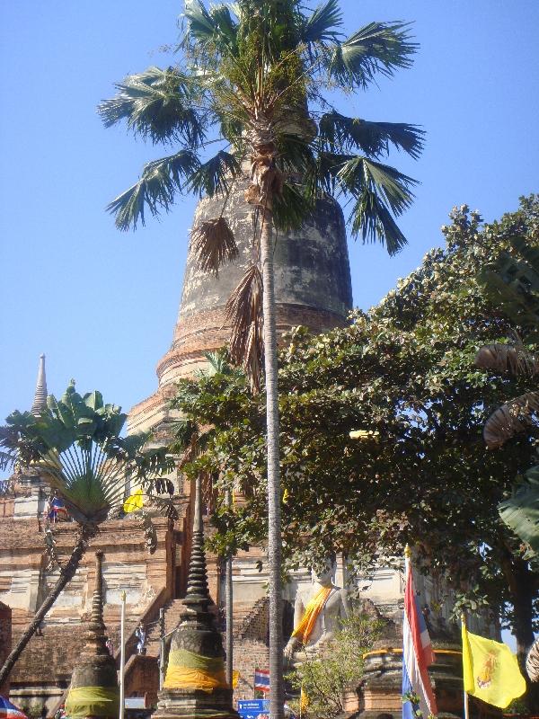 The tallest chedi of Ayutthaya, Thailand