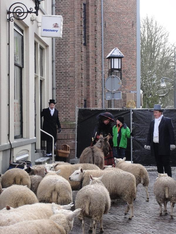 Real sheep at Charles Dickens in Deventer, Deventer Netherlands