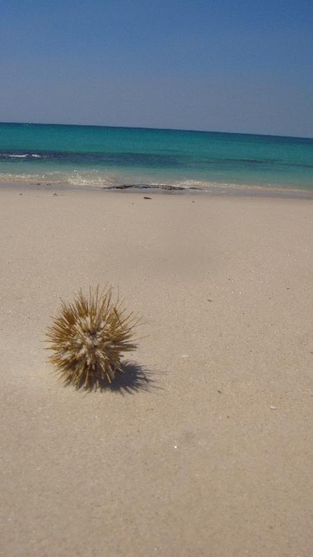 Panoramic pictures of Cape Leveque, Cape Leveque Australia