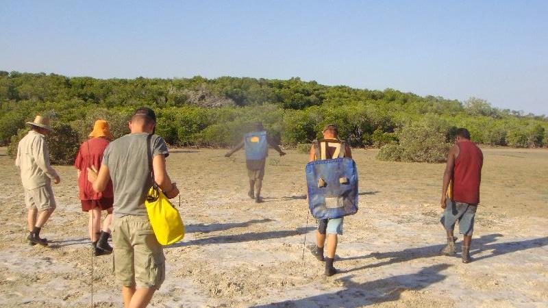 Moving into the mangroves Cape Leveque Australia Oceania