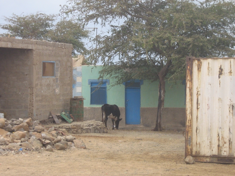 The Houses of Espargos, Sal, Cape Verde