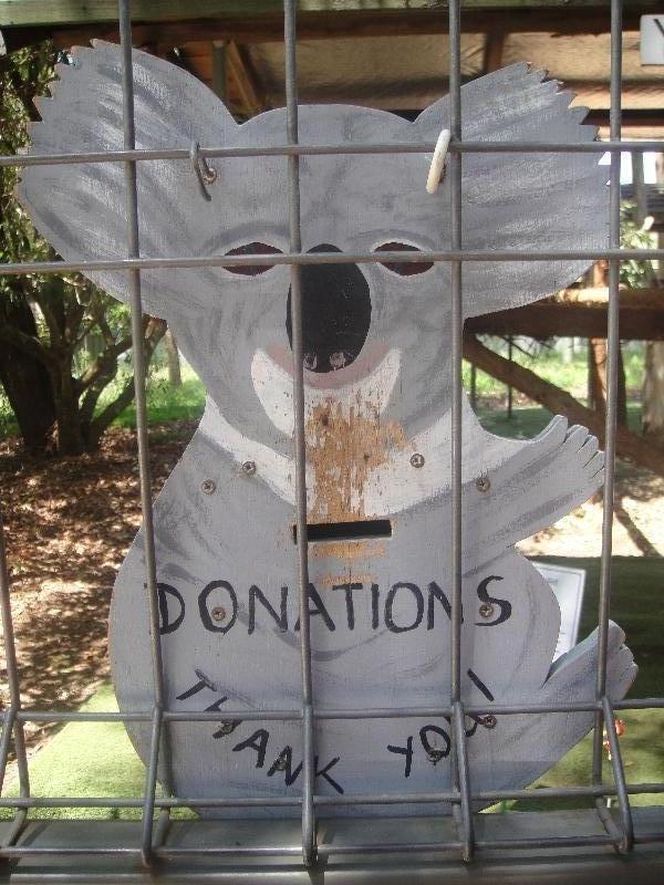 Donate money to the koala hospital, Port Macquarie Australia