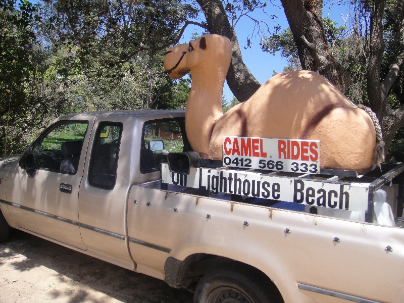 Thats such a cool car!, Australia