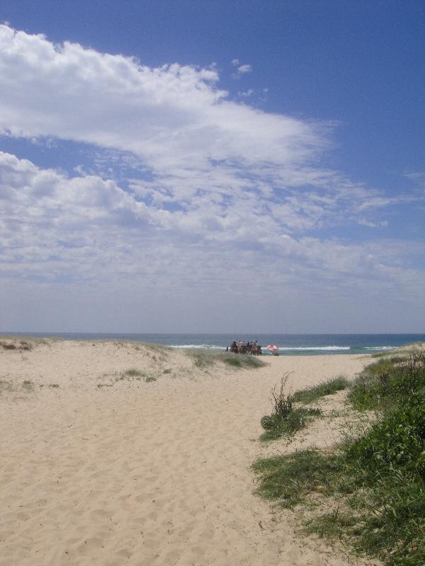 Beautiful Ozzi beach in Port Maquarie, Port Macquarie Australia