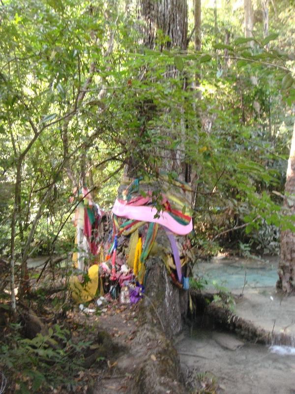 Local Thai offerings on the trees, Thailand