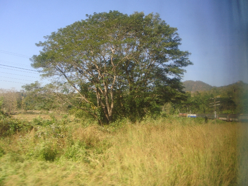 Pictures of the train ride to Chiang Mai, Thailand