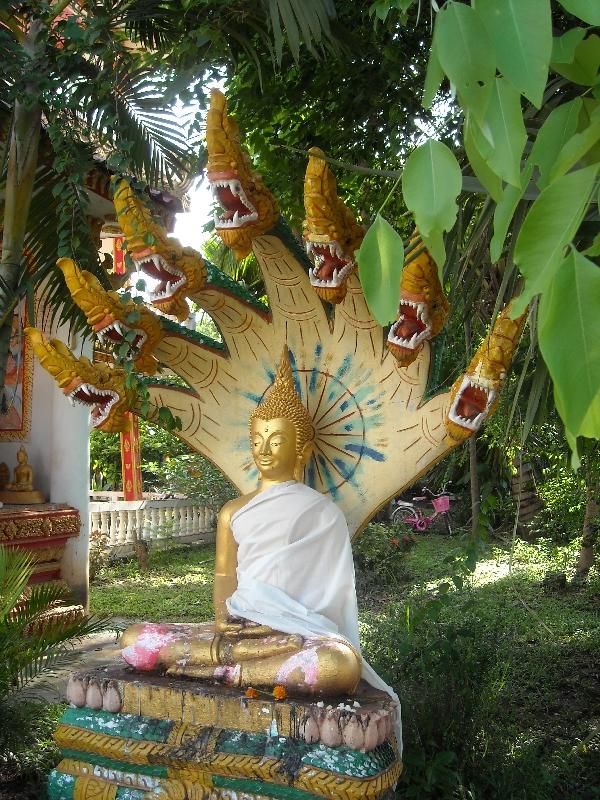 Buddhist shrine in Vientiane, Laos, Laos