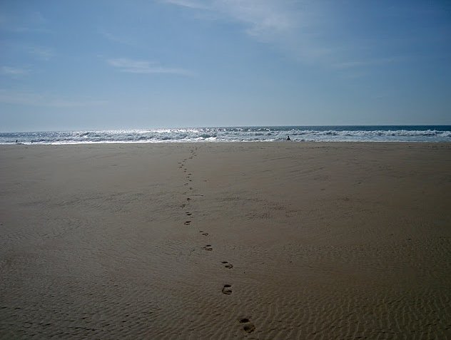 Wonderful beach of Conil de la Frontera, Conil De La Frontera Spain