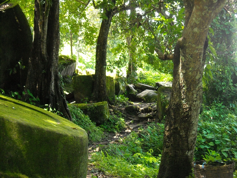 Preah Vihear Cambodia Green bush land