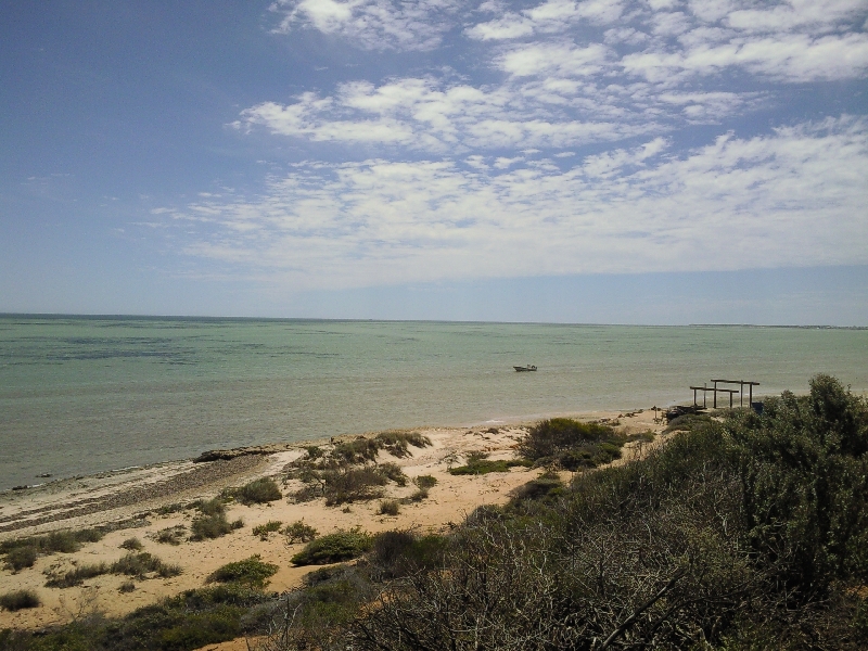 The ocean in Denham, Shark Bay, Australia