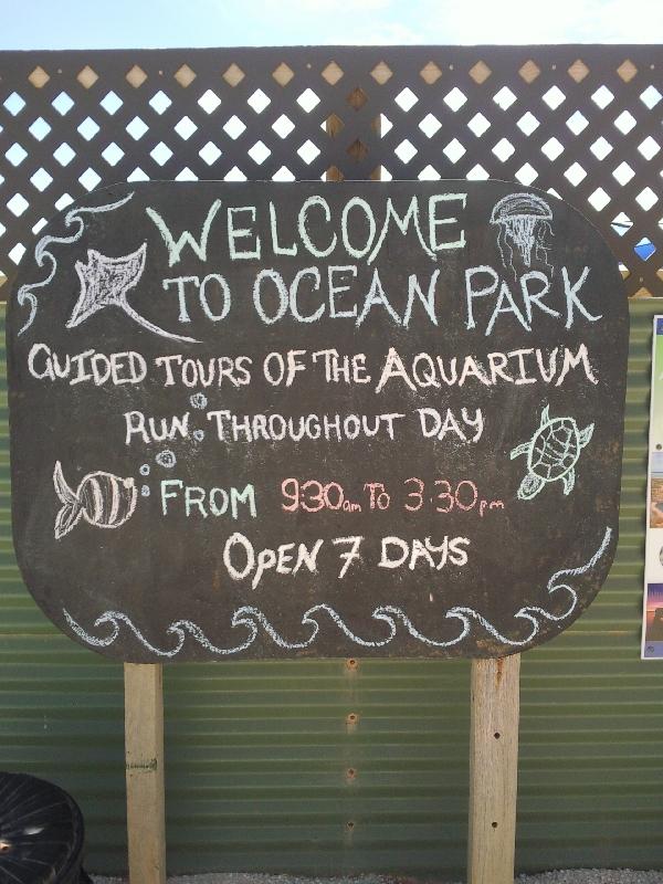 Ocean Park in Shark Bay, Denham, Australia