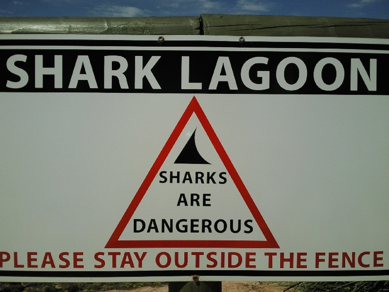 Shark Lagoon, Denham Australia