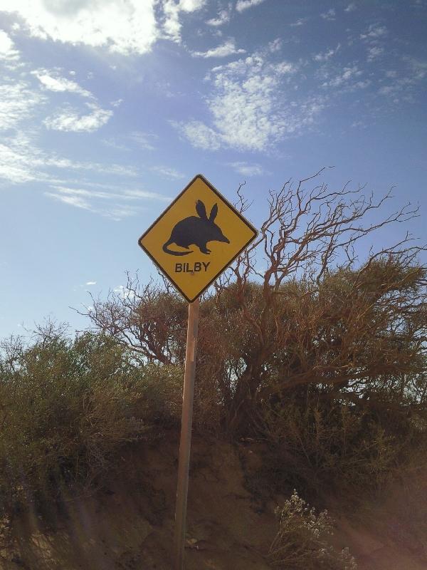 Look out for bilby, Denham Australia