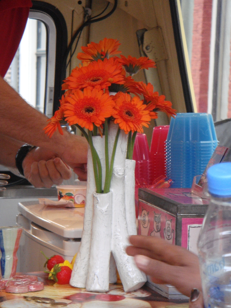 Orange flowers in Utrecht, Utrecht Netherlands