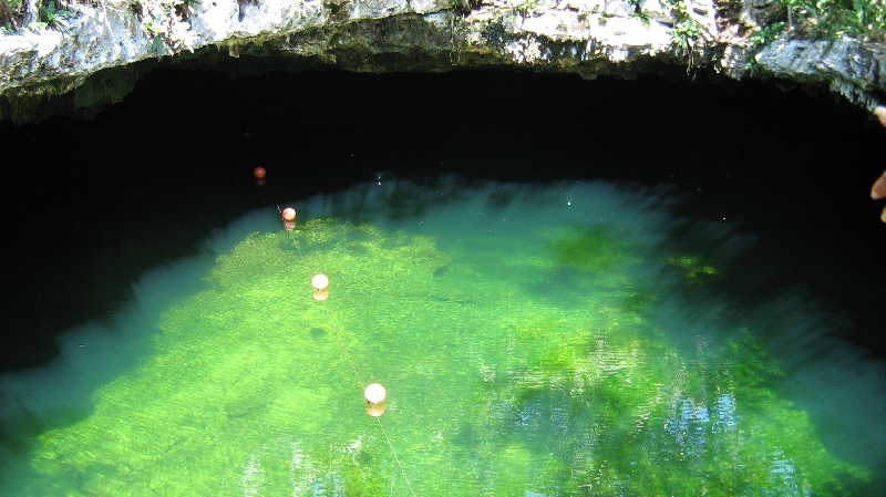 The amazing cenotes of Tulum, Tulum Mexico