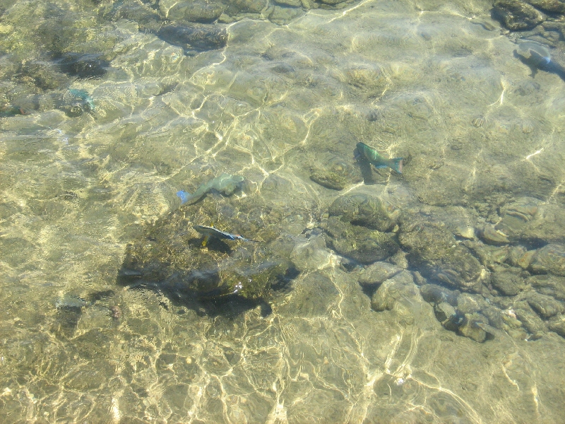 The clear waters of Sharm el Sheikh, Egypt