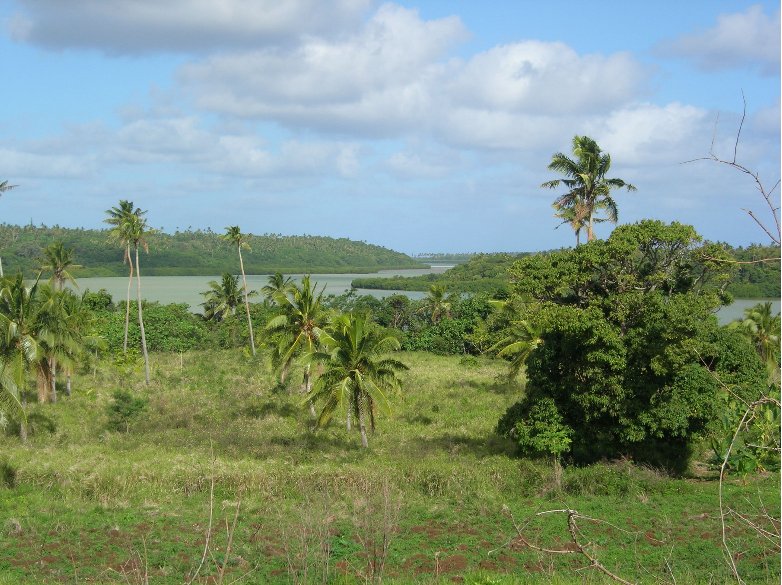 Pictures of Tonga Island, Nuku'alofa Tonga