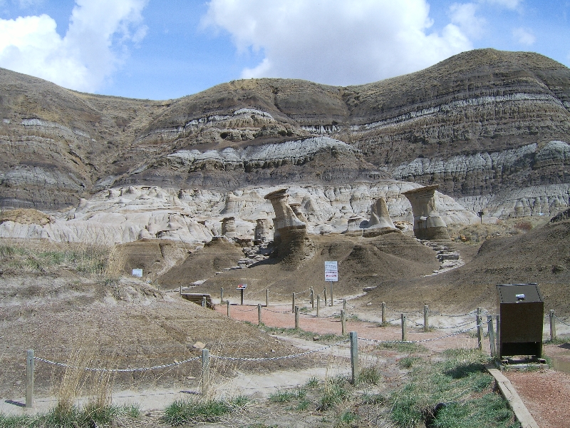 The Dinosaur Park in Calgary, Canada