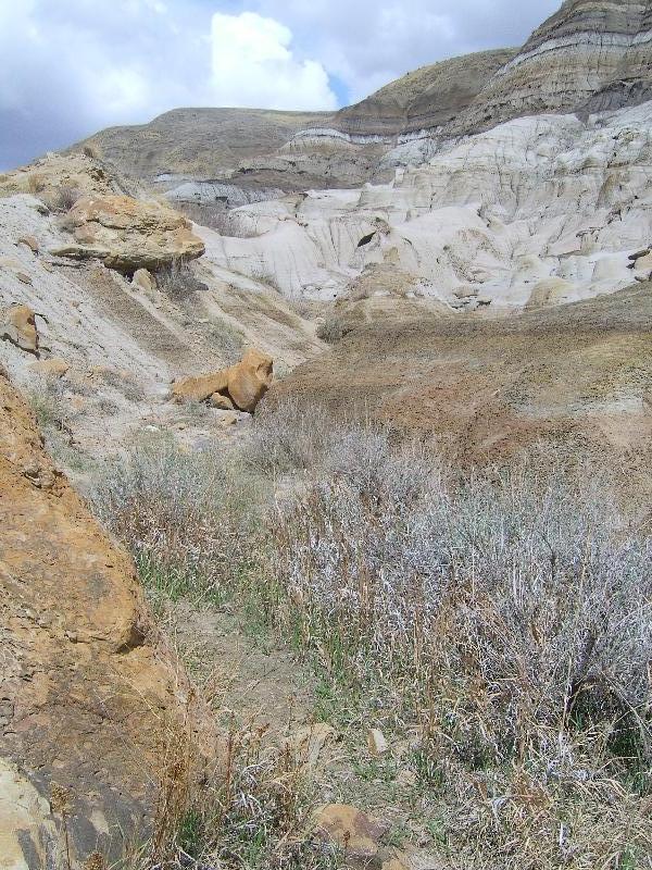 Pictures of the Dinosaur Park, Canada