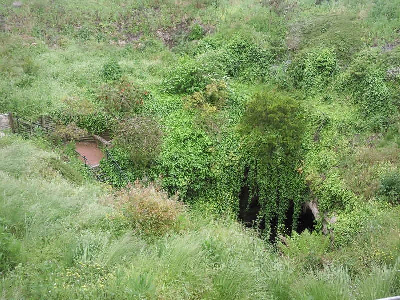 Pictures of Engelbrecht Cave, Australia