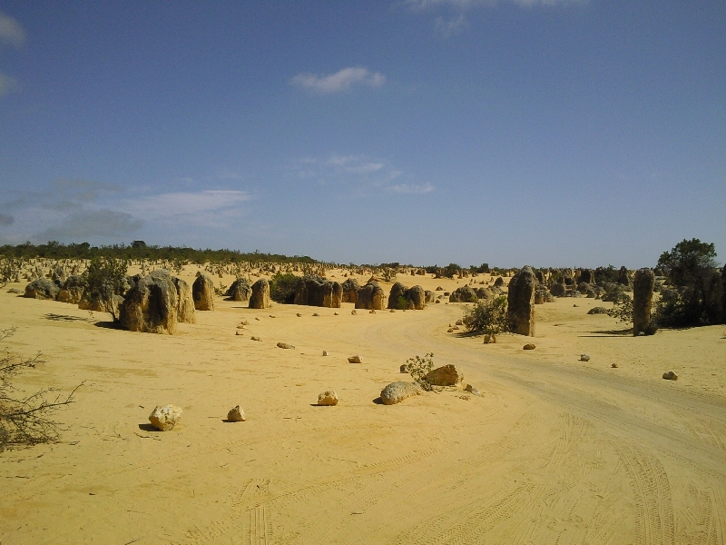 The landscape in Cervantes, Australia