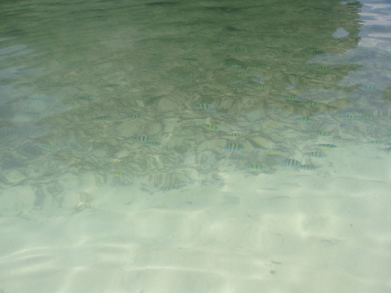 Snorkeling on Ko Hong, Thailand