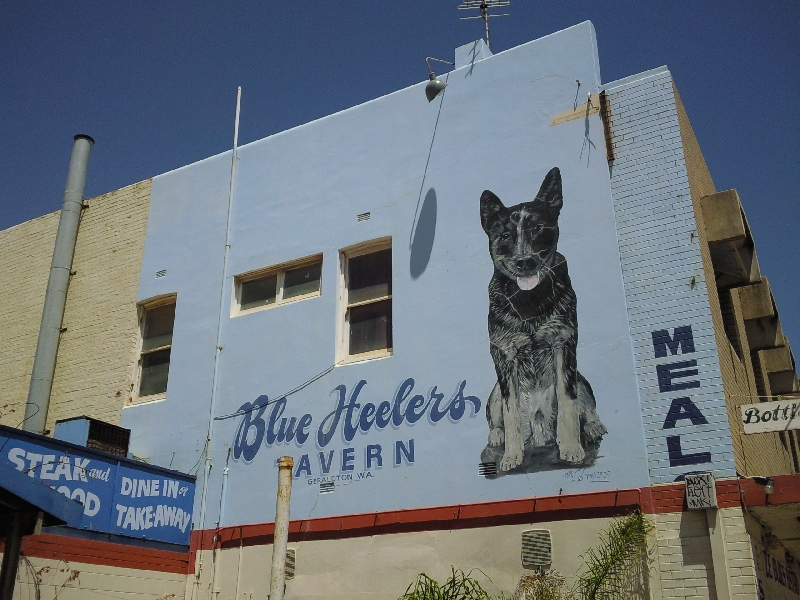 Great painted billboards, Geraldton Australia