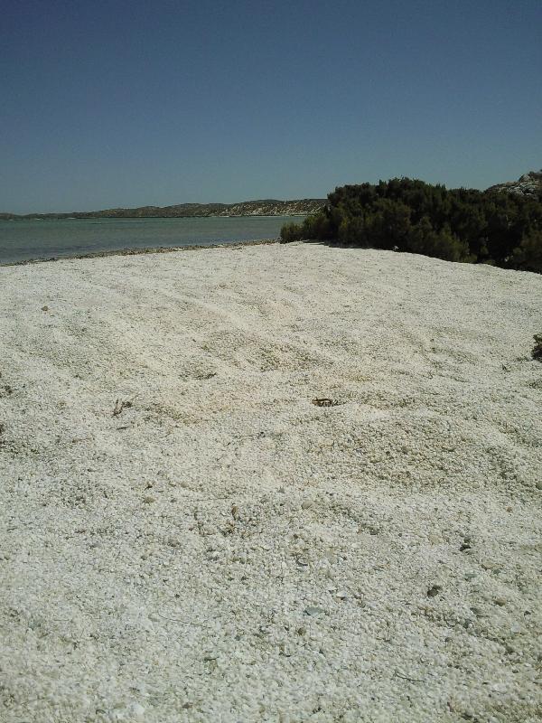 Shark Bay Australia Stunning beach pictures Shark Bay