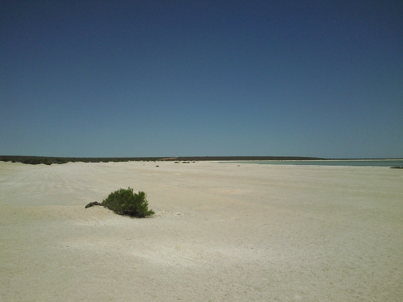 The stretches of white shells, Australia