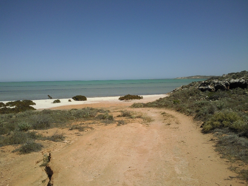 Shark Bay Australia The beaches of Shark Bay