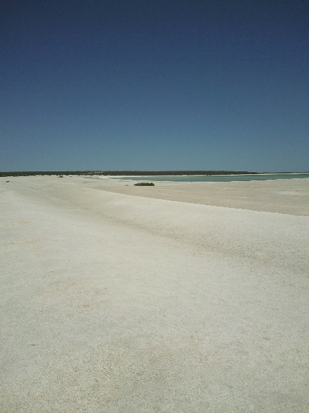 Shark Bay Australia Pictures of Shell Beach in Shark Bay