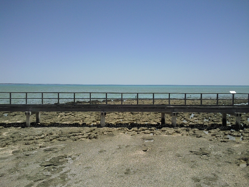 The boardwalk of Hamelin Pool, Australia