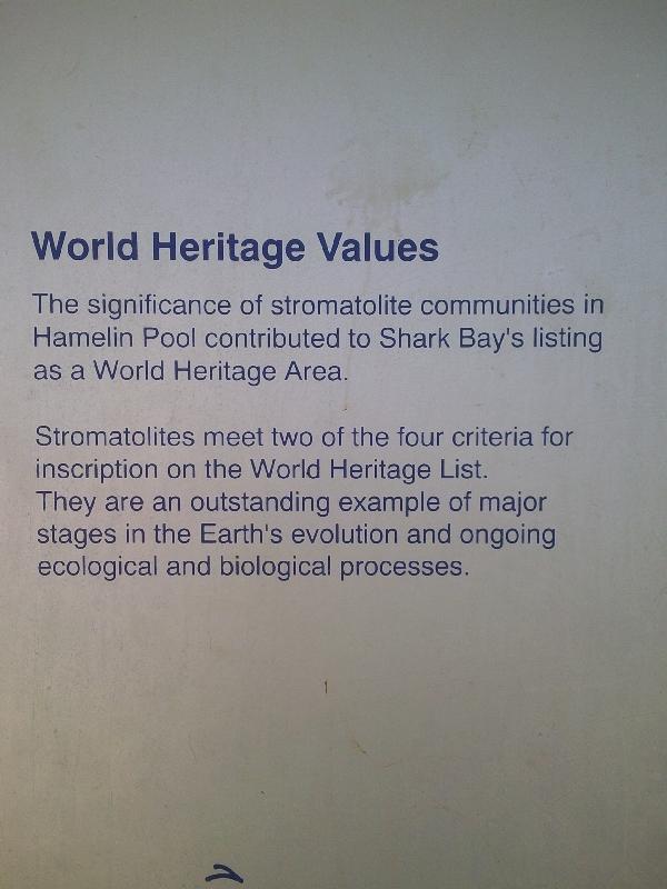 Shark Bay Australia The history of Hamelin Pool