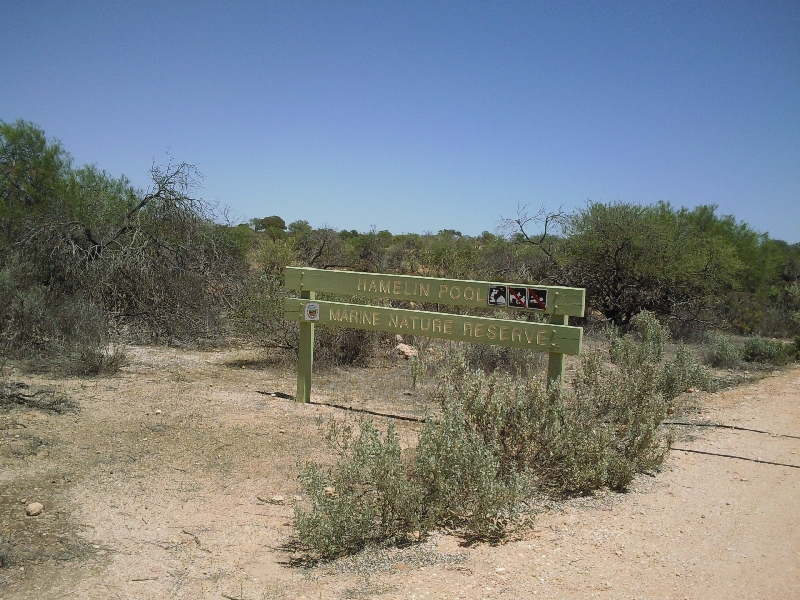 Shark Bay Australia Visiting Hamelin Pool, Shark Bay