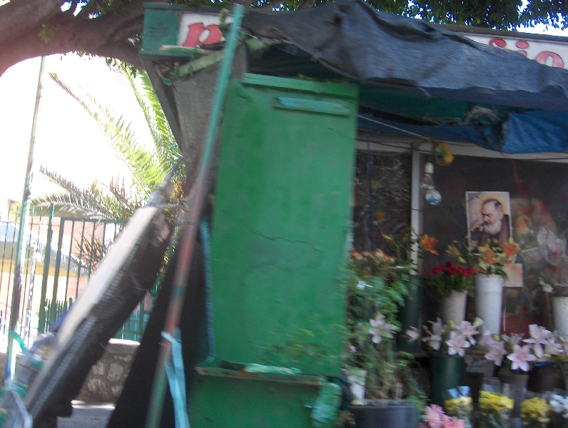 Flowershop in Palermo, Palermo Italy