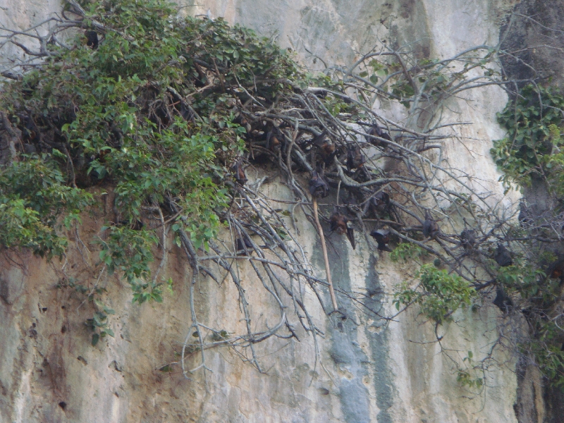 From Ko Chueak to Ko Kradan, Thailand