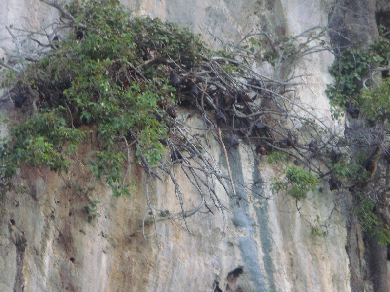 Pictures of Ko Chueak, Thailand