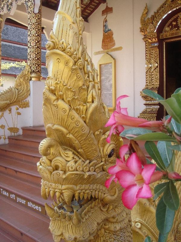 Golden Dragons for the Crystal Buddha, Chiang Mai Thailand