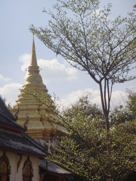 Chiang Mai Thailand Wat Chiang Man and the Stupa