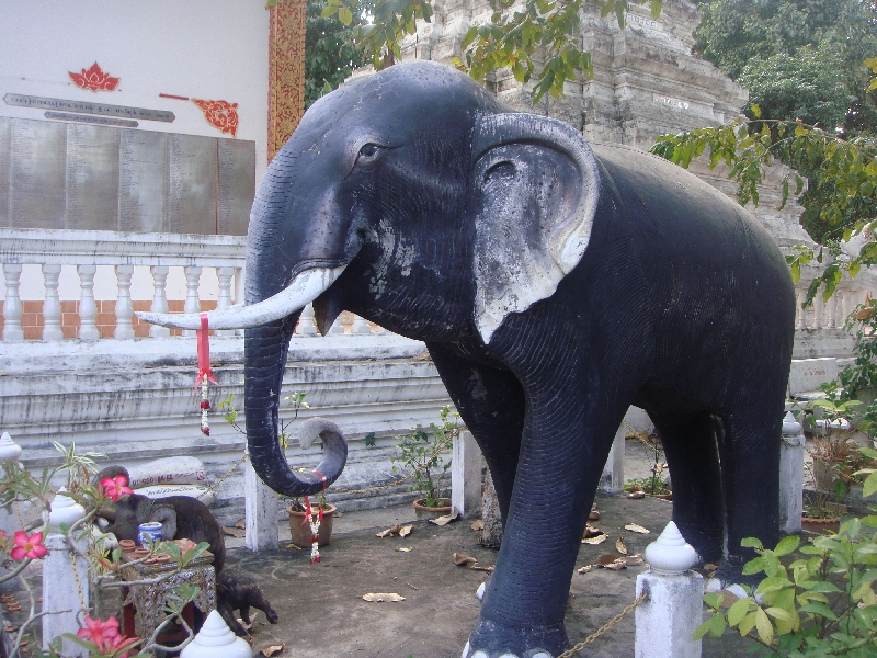 The Elephant statue , Chiang Mai Thailand