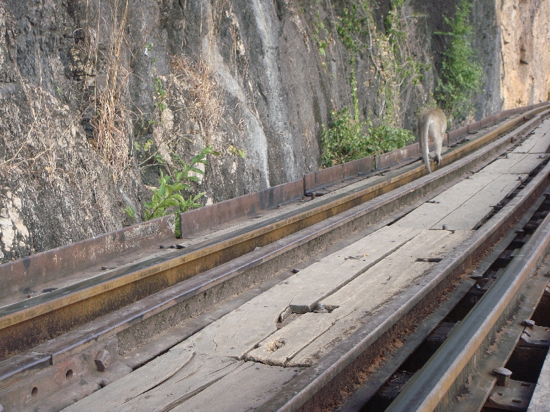 The Railway close to the temple Kanchanaburi Thailand Asia