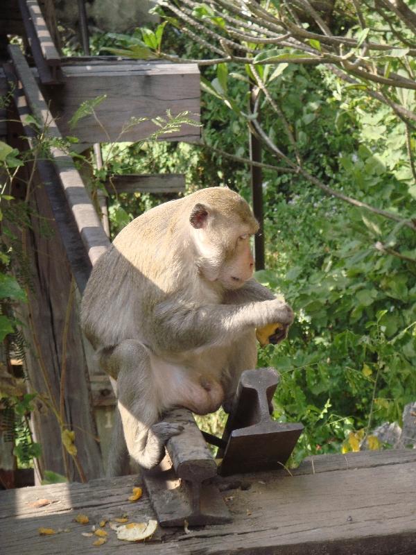 Lunch time in Kanchanaburi, Thailand